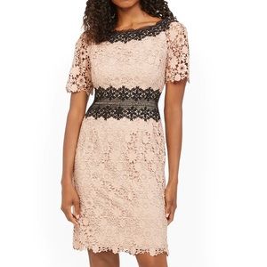 By Shani dress BNWT blush pink lace size 8 MSRP $384